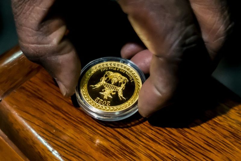 The 'Mosi-oa-Tunya' gold coin. (Jekesai Njikizana/AFP/Getty Images)
