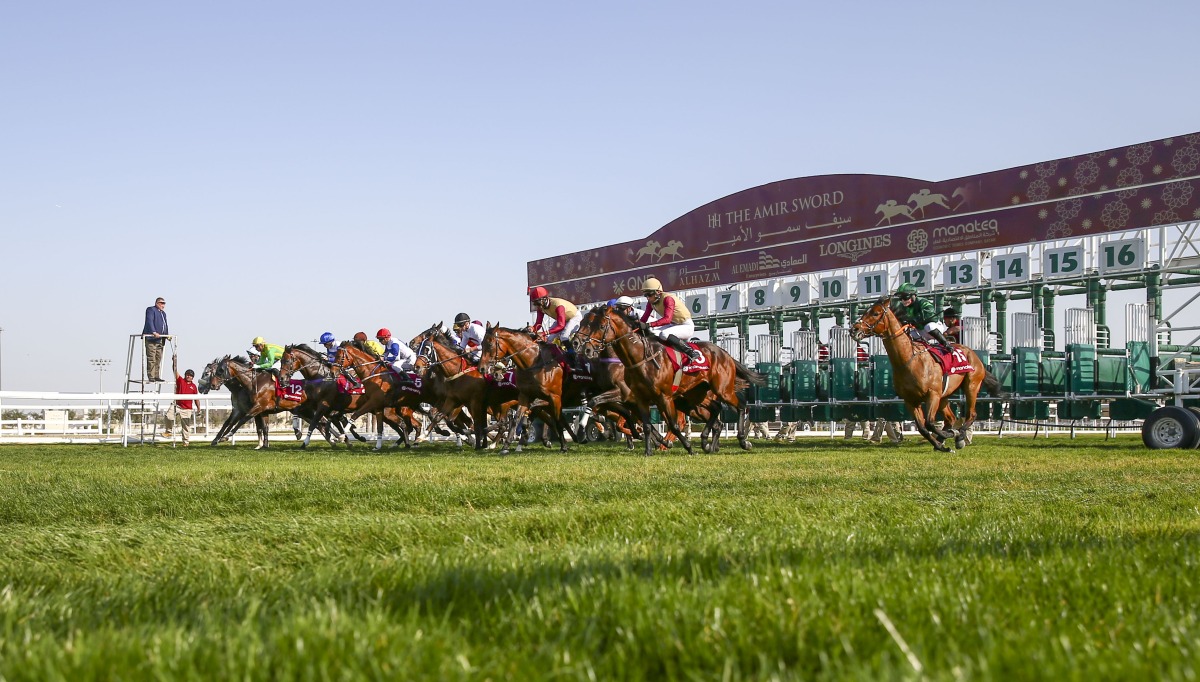 A file photo of action during the HH The Amir Sword Festival.