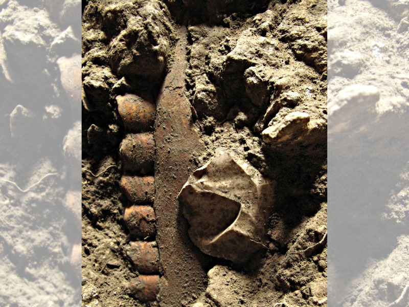 This handout photo courtesy of EurekAlert obtained on February 22, 2023 shows a horse mandibular and a Neronian point appearing on the archeological layer E (Neronian) from Grotte Mandrin. (Photo by Ludovic Slimak / Eurekalert! / AFP) 