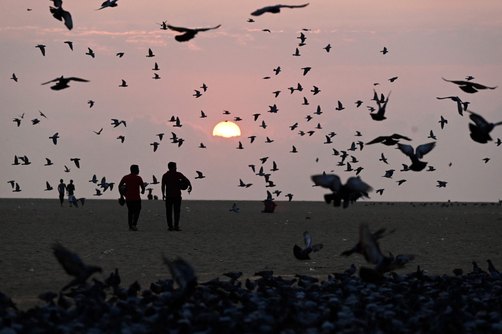 People loiter as pigeons fly during sunrise at the Marina beach in Chennai on April 1, 2023. Photo by R.Satish Babu / AFP