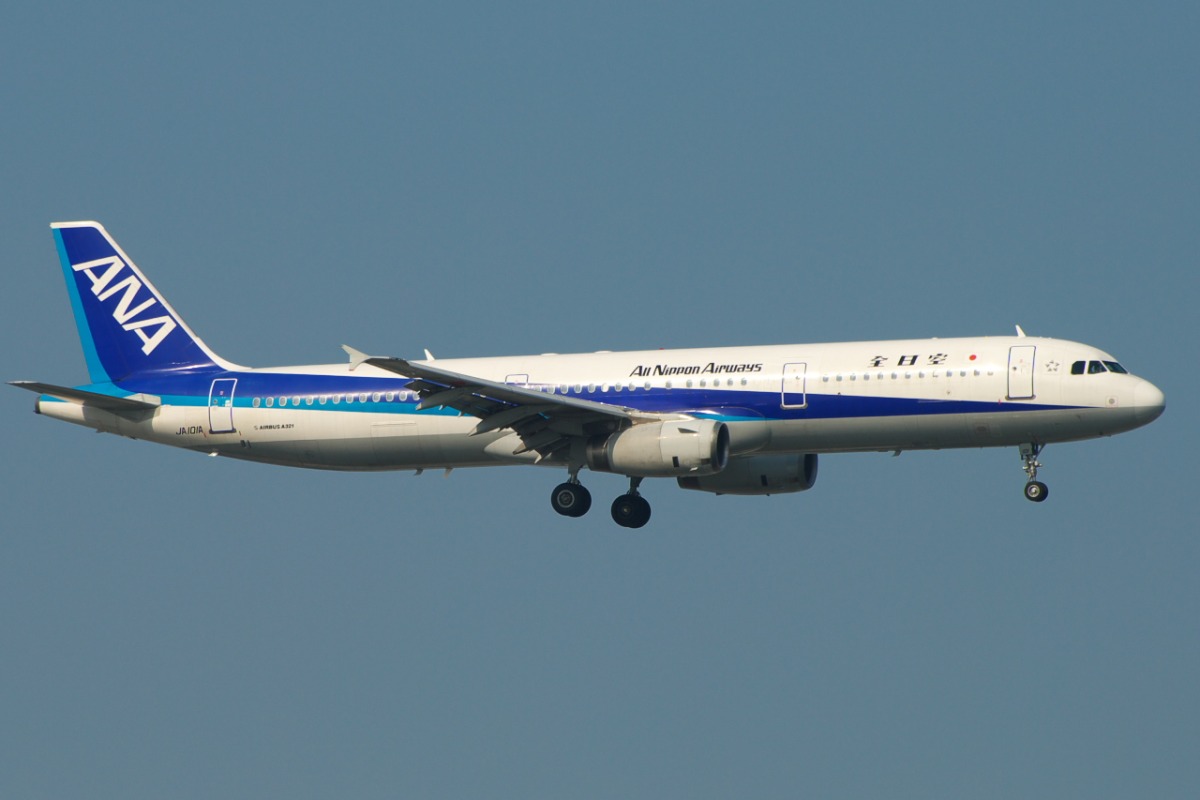 ANA file picture from Wikimedia Commons 