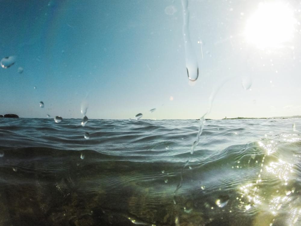 Image used for representation only