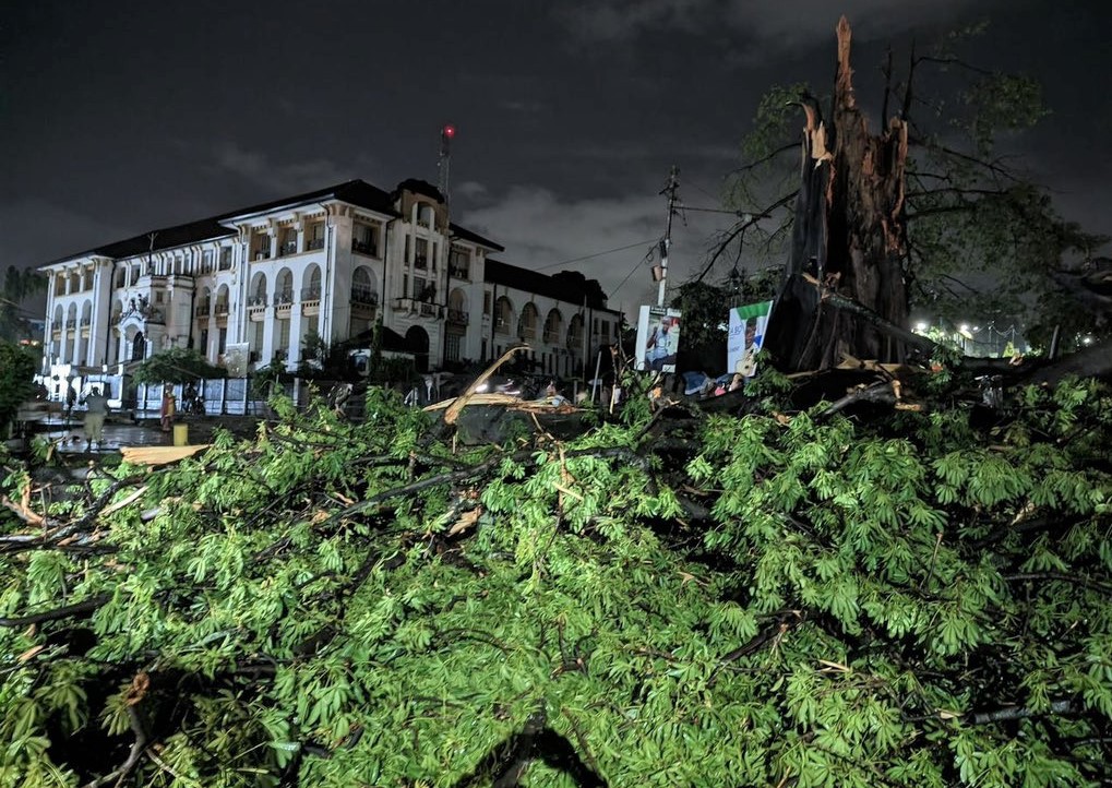 Image from social media