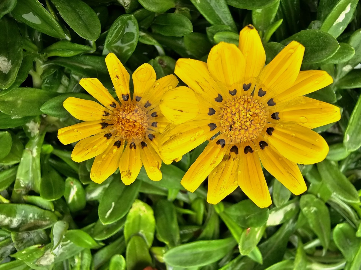 Photo by The Peninsula