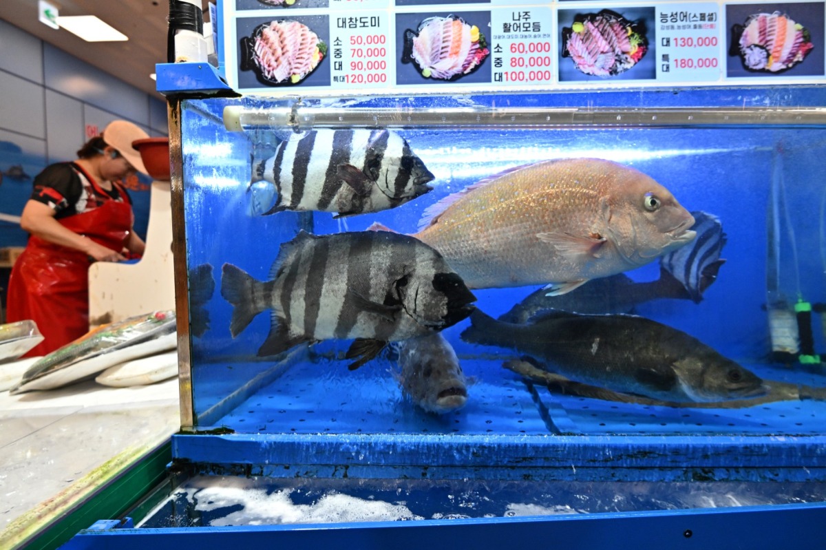 A fish monger fillets fish next to a fish tank at the Noryangjin Fisheries Wholesale Market in Seoul on July 6, 2023. Photo by Jung Yeon-je / AFP