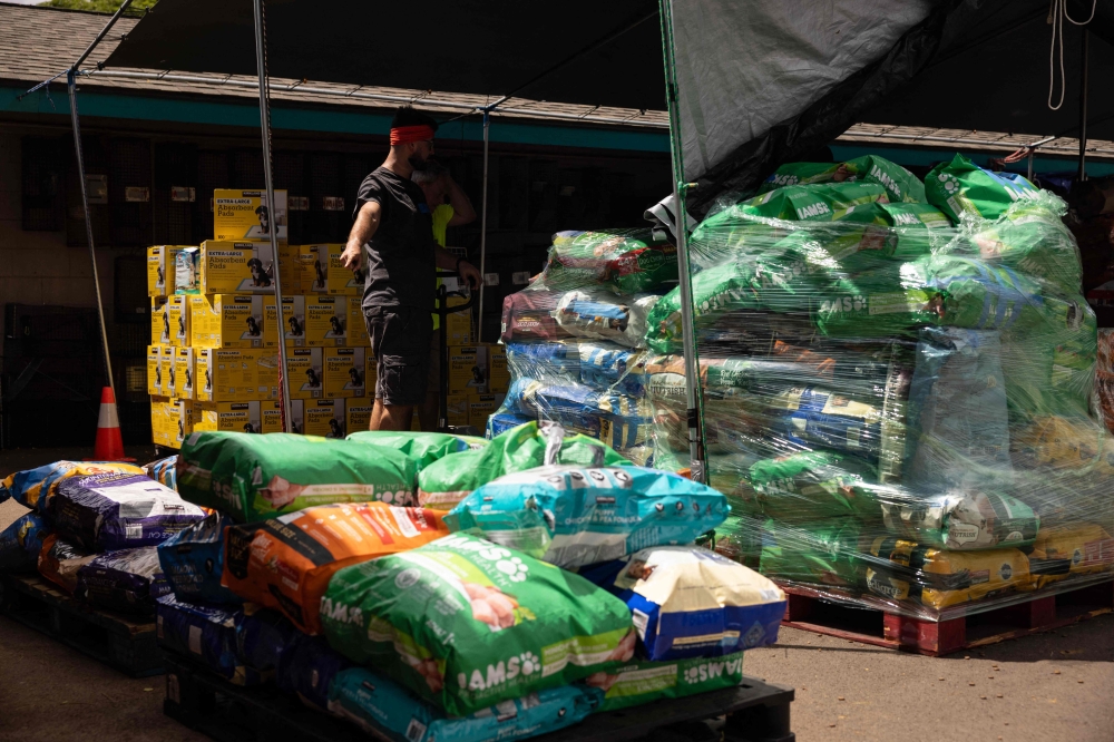A volunteer points to a bag of donated pet foods at the Maui Humane Society in Puunene, central Maui, Hawaii on August 15, 2023. Photo by Yuki IWAMURA / AFP