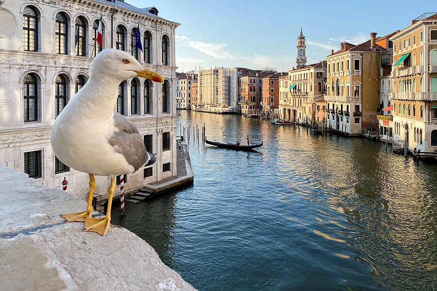 File photo for representation