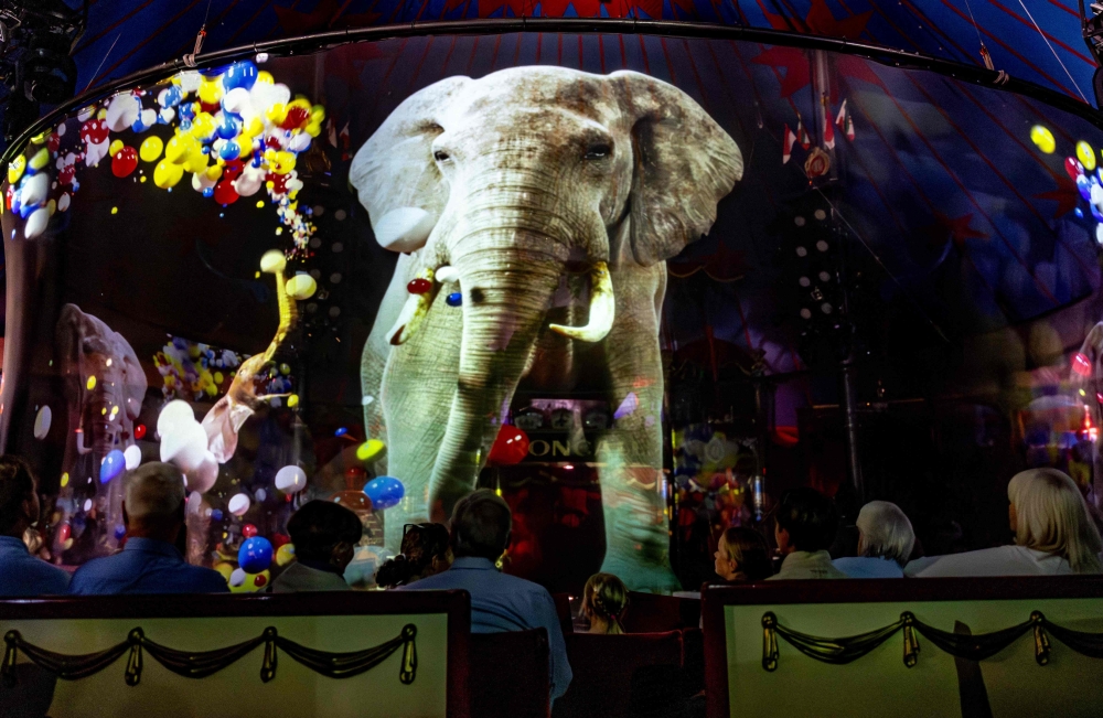 Spectators of the Roncalli Circus Show look at an hologram projection of an elephant during the show in Luebeck, northern Germany on August 16, 2023. (Photo by Axel Heimken / AFP)