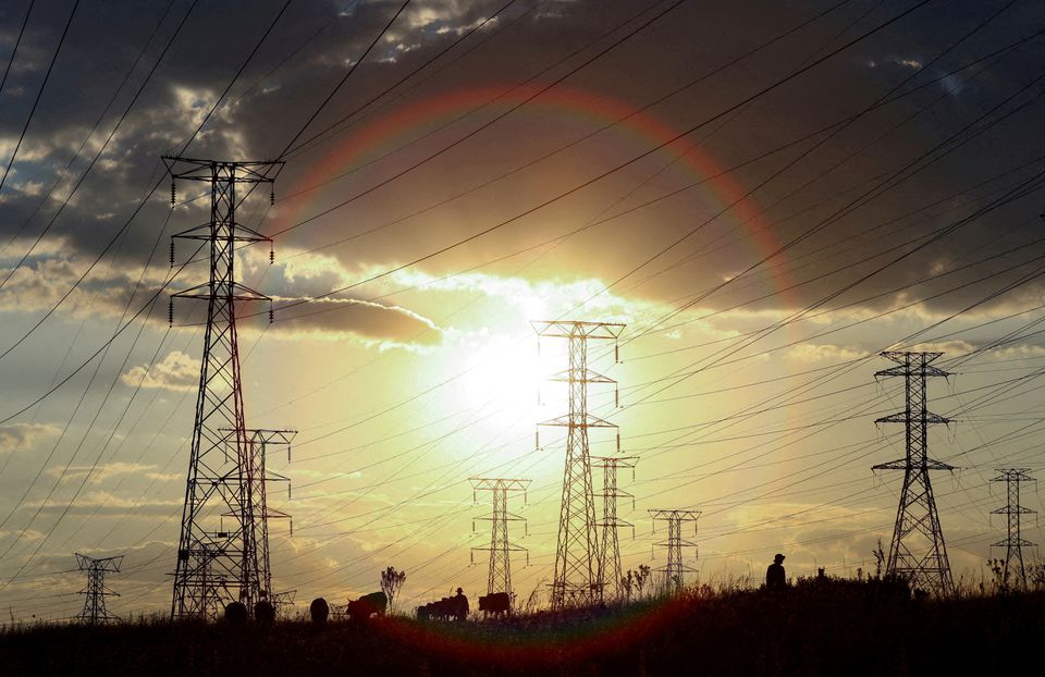 File photo:  man drives cattle past electricity pylons during frequent power outages from South African utility Eskom, caused by its aging coal-fired plants, in Soweto, South Africa April 4, 2022. REUTERS/Siphiwe Sibeko/File Photo

