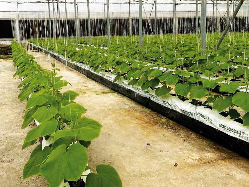 File photo used for representational purposes