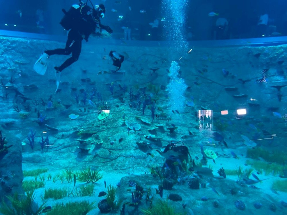 A view of the aquarium at the City Gallery at the Grand Cruise Terminal. (Pic by Joelyn Baluyut/The Peninsula)