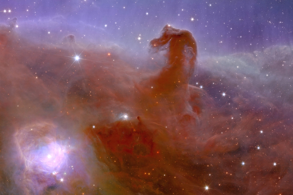 This undated handout obtained on November 2, 2023 from the European Space Agency ESA shows an alternative crop of astronomical image of a Horsehead Nebula taken during ESA's Euclid space mission. (Photo by Handout / ESA/Euclid/Euclid Consortium/NASA / AFP) 