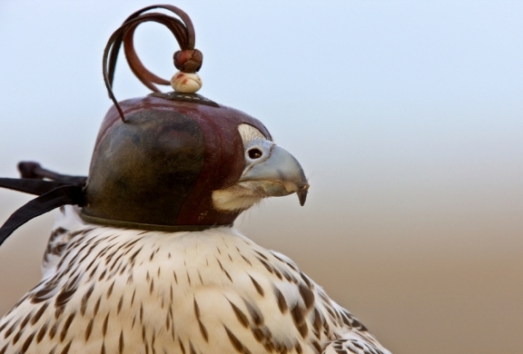 Image used for representation only.