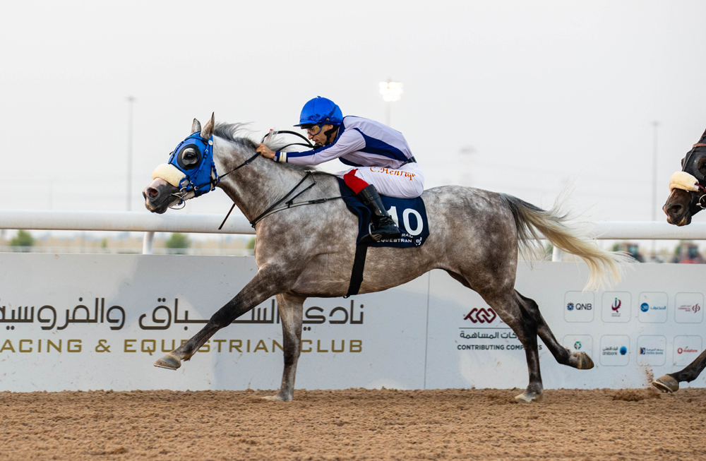 Carlos Henrique guides Alouqa during the feature for Ras Mlaiji Cup yesterday. PIC: Juhaim/QREC 