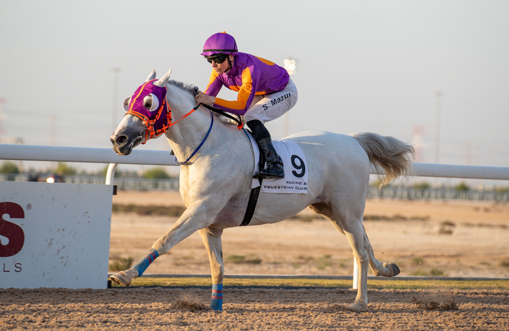 Suka’ar under Szczepan Mazur races towards victory. PICS: Juhaim/QREC