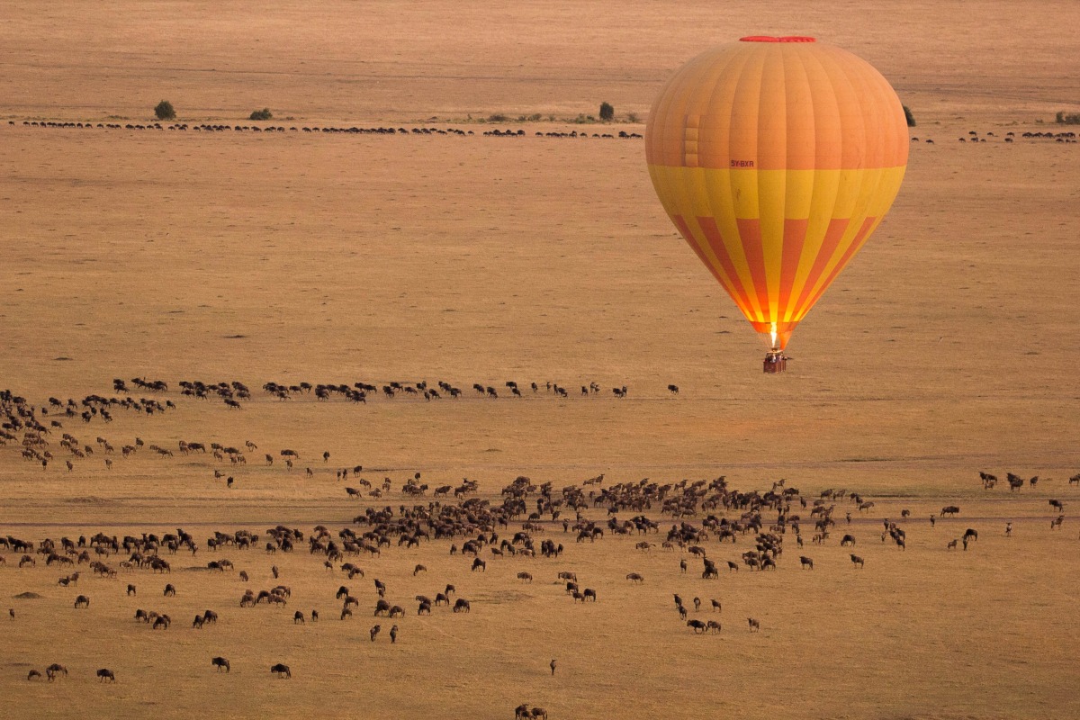 Pic: X / Kenya Tourism Board

