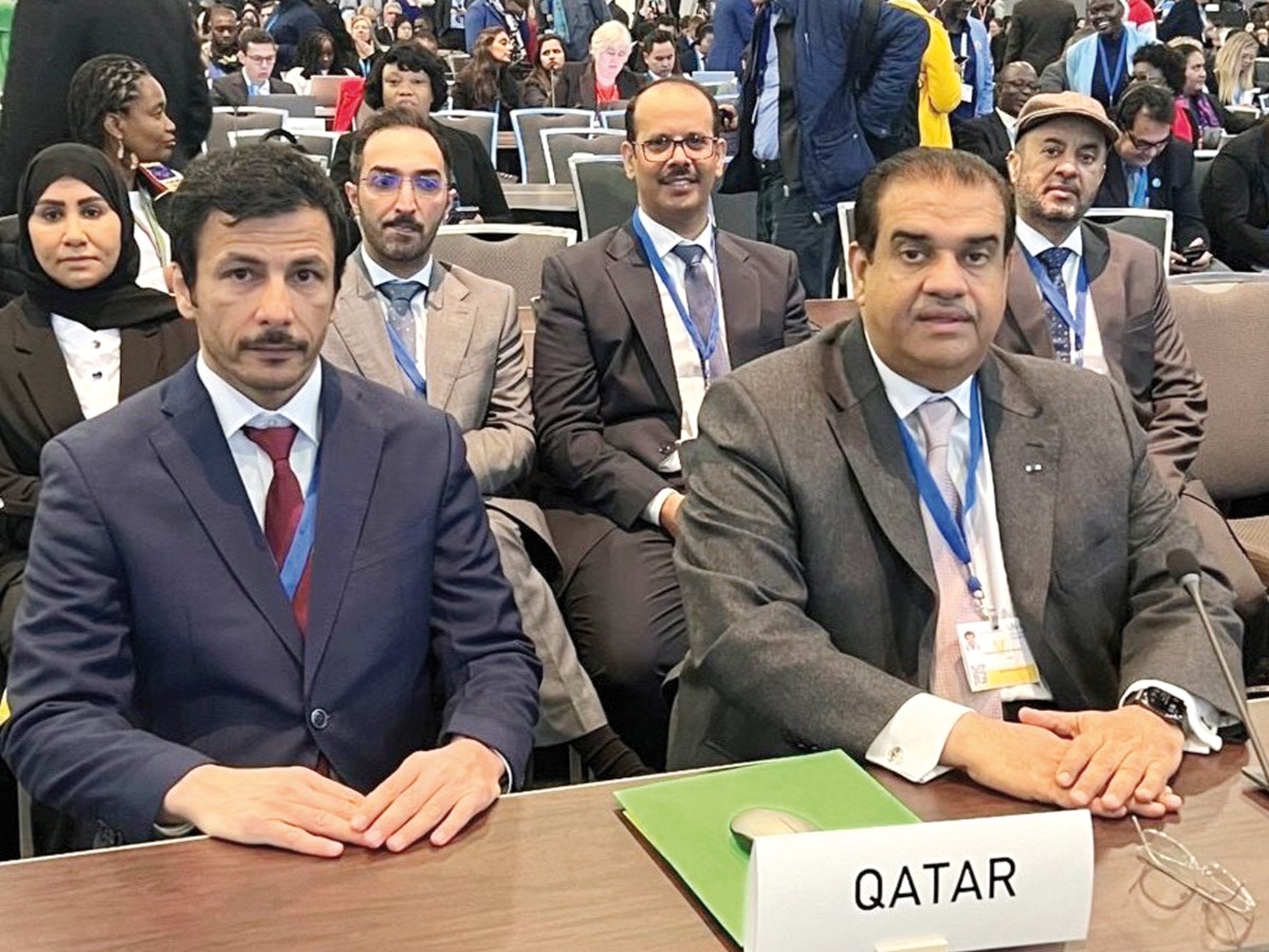 The Qatari delegation at the event.
