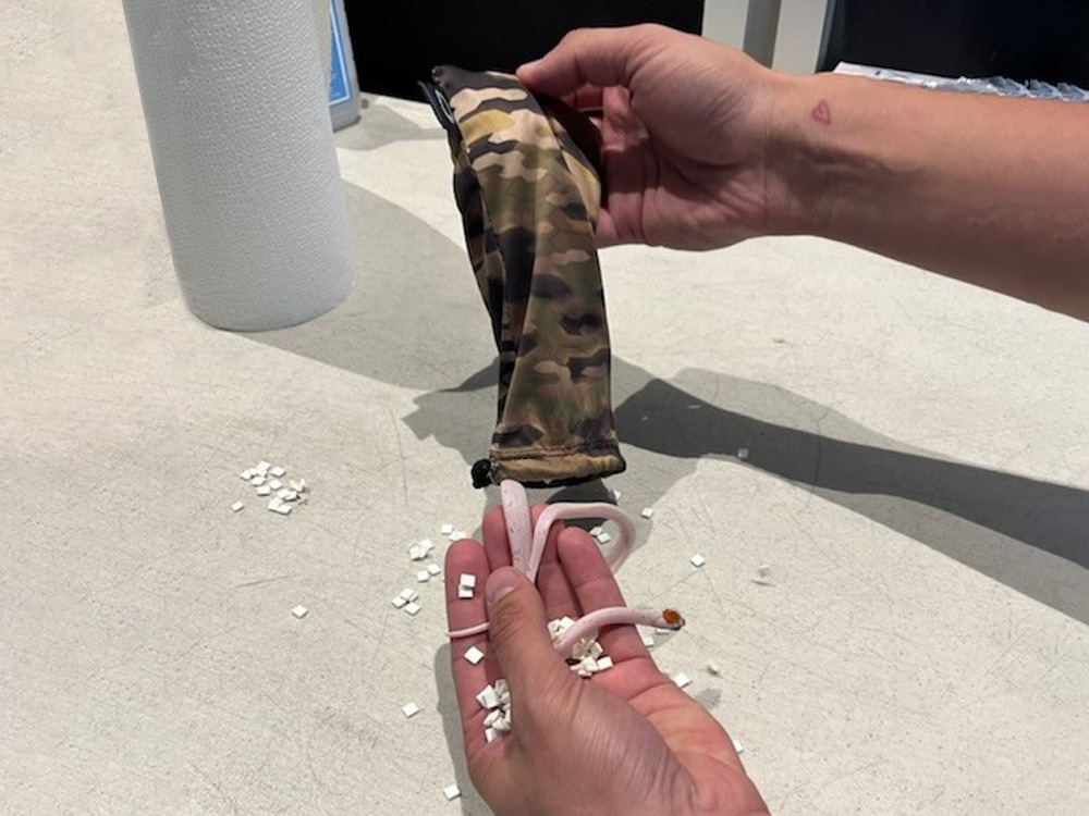 All pics from @TSA_Gulf on X

