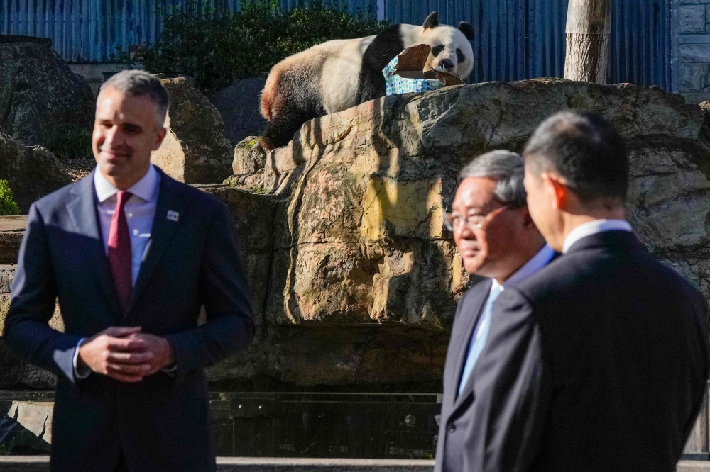 Wang Wang the panda (top) chews a box as South Australian Premier Peter Malinauskas and China's Premier Li Qiang listen to a zoo ranger at the Adelaide Zoo in Adelaide on June 16, 2024. (Photo by Asanka Ratnayake / Pool/ AFP)