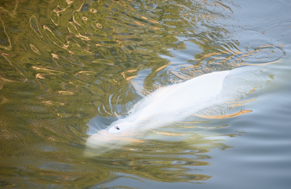 File photo for representational purposes.