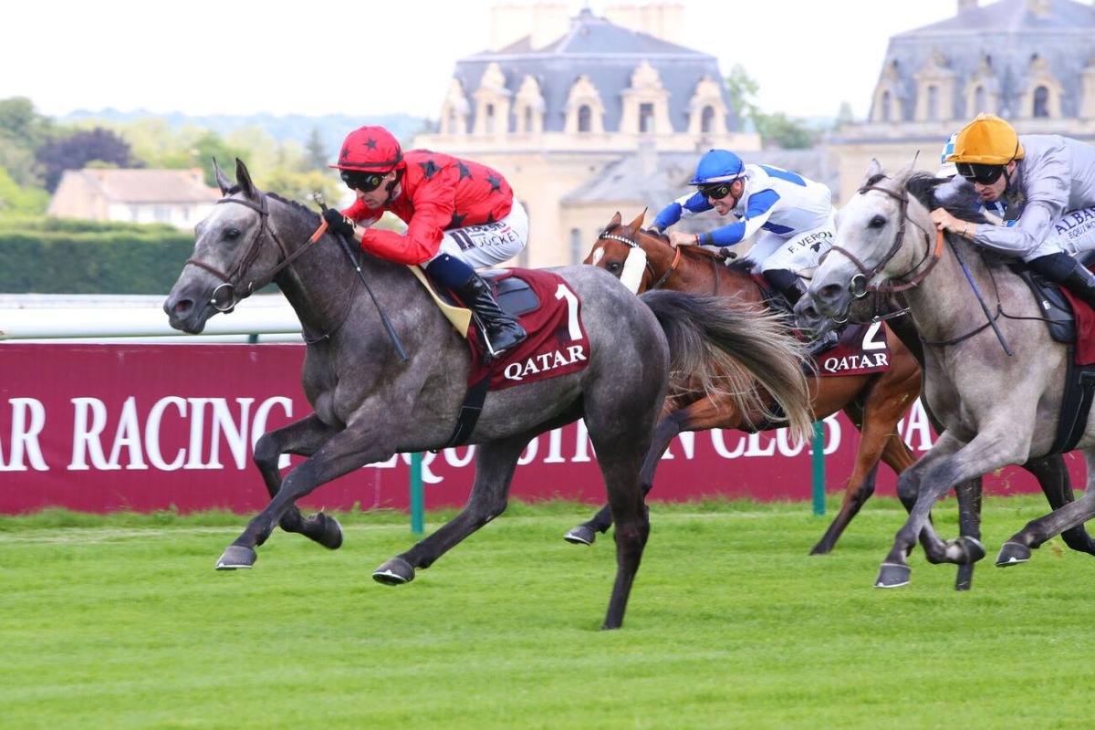 Mureb takes the lead as he races to win the Qatar Coupe de France des Chevaux Arabes yesterday.    