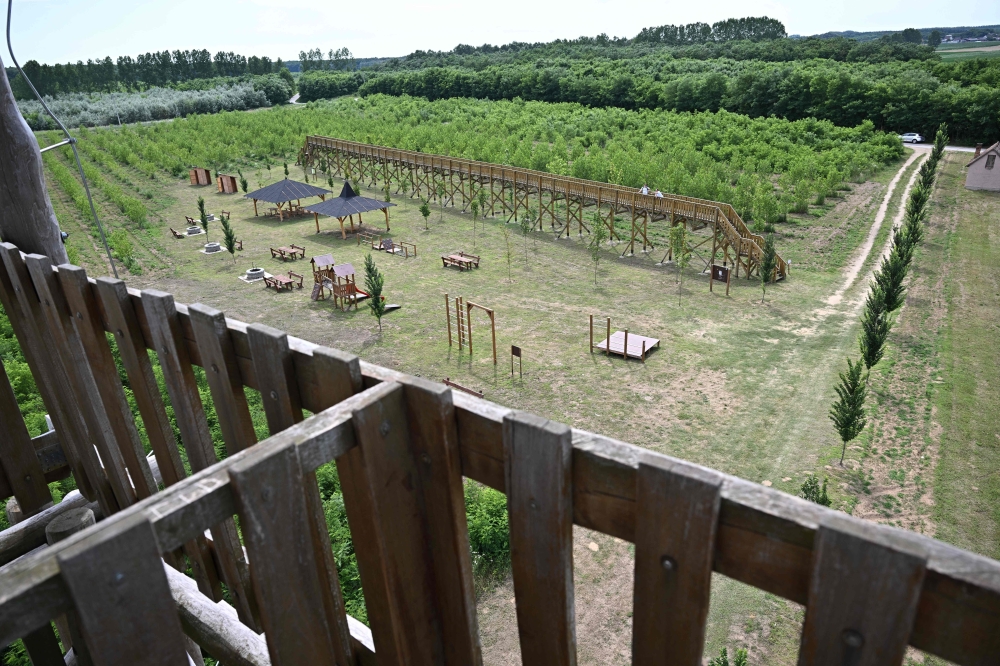 The canopy walkway is seen outside of Nyirmartonfalva village on June 25, 2024. (Photo by Attila Kisbenedek / AFP)
