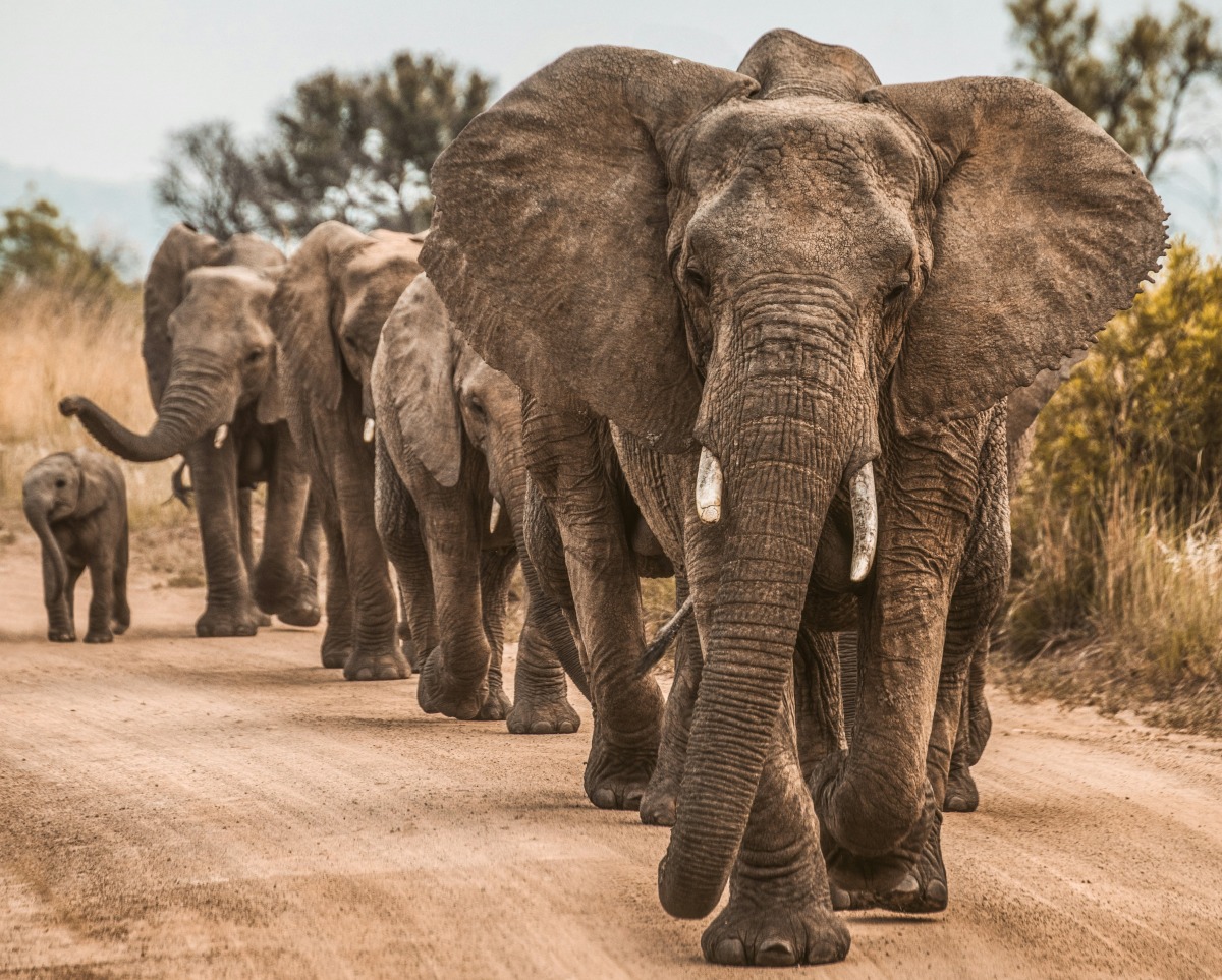 Photo used for representation only 