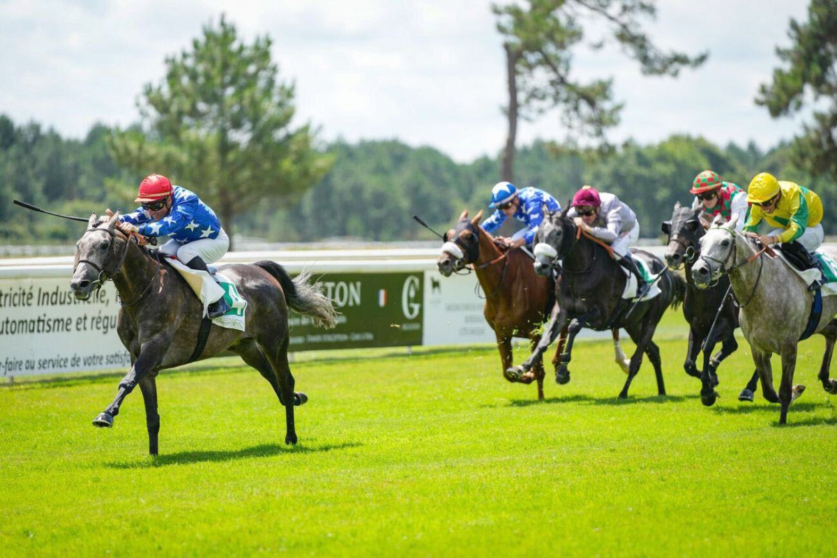 With Ioritz Mendizabal in the saddle, Mukatel Al Shahania produced a nice performance to win the Sheikh Mansoor Festival - Prix Tidjani (PA).