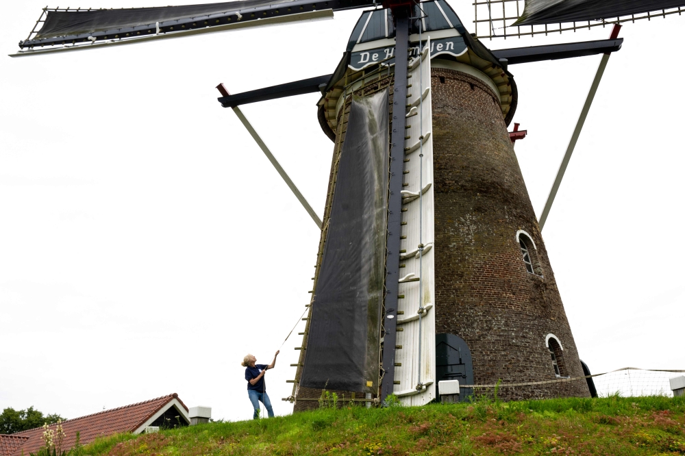 Dutch artist Peet Wessels adjusts the sails of De Heimolen, an ancient wheat mill in Rucphen-Bosschenhoofd, near the southern Dutch city of Breda. (Photo by Nick Gammon / AFP)
 