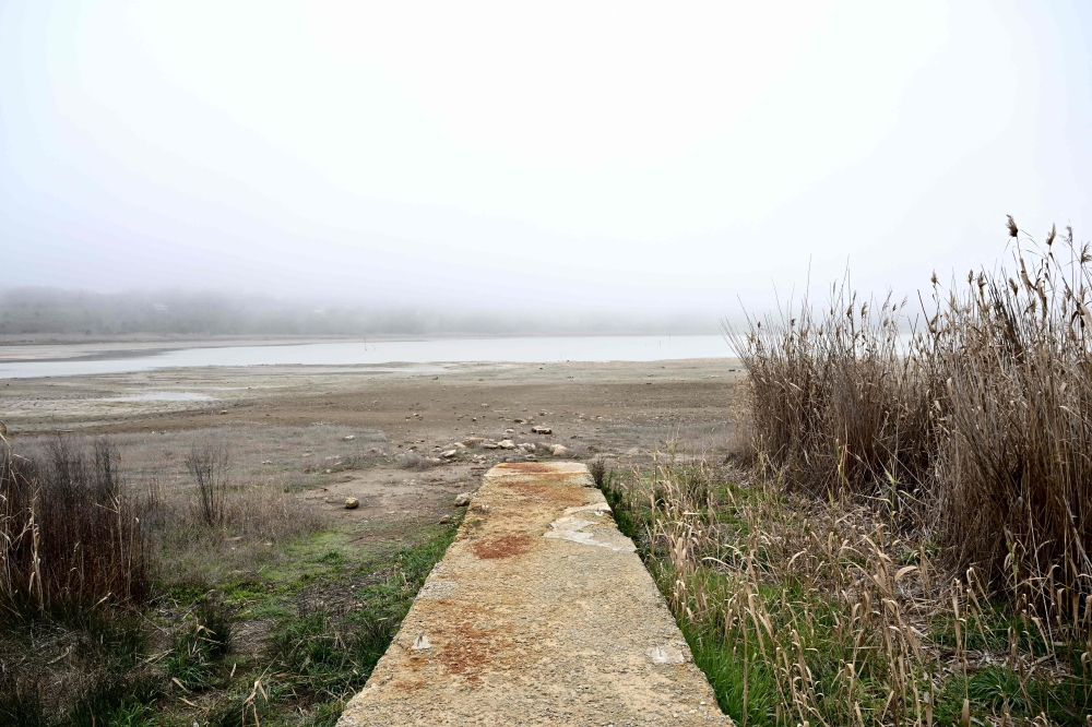 Peninsula
