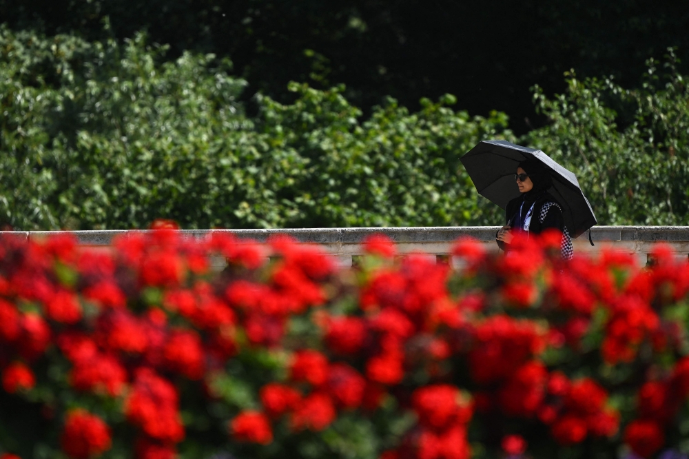 A person shelters from the sun beneath an umbrella as they walk past flowers in bloom, outside Buckingham Palace during hot weather in central London on July 31, 2024. (Photo by Justin Tallis / AFP)