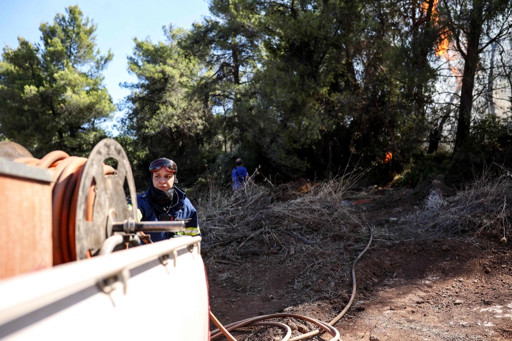 Firefighters and local volunteers try to extinguish a wildfire in Grammatikos region in Attica on August 12, 2024. (Photo by Aris Oikonomou / AFP)
