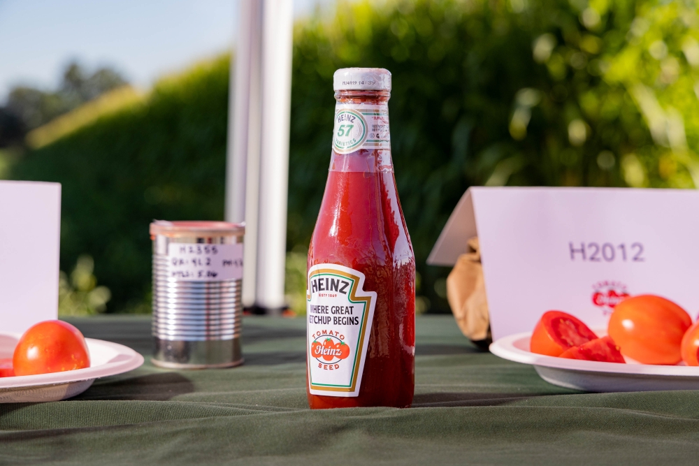 Heinz Ketchup at the HeinzSeed farm in Stockton, California. (Photo by Jason Henry/Bloomberg)

