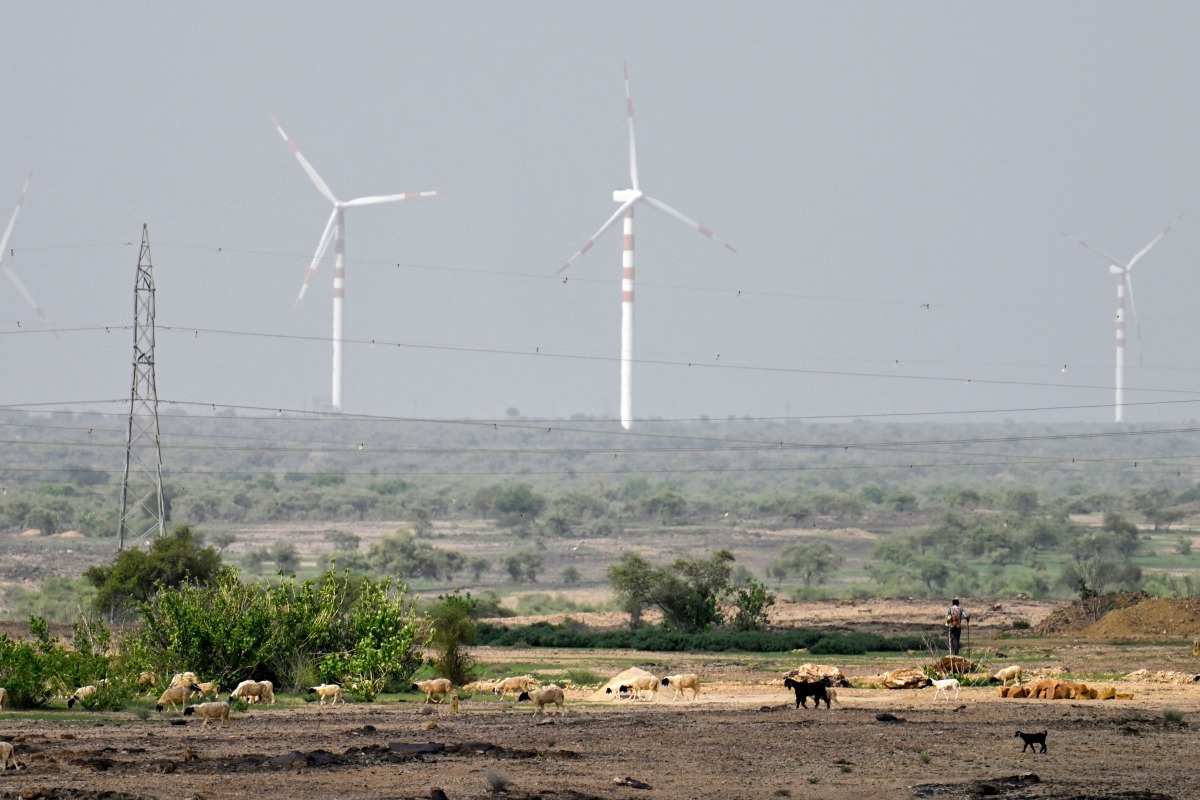 In this photograph taken on August 7, 2024, goats graze near windmills on the outskirts of Jaisalmer, in India's desert state of Rajasthan. (Photo by Idrees MOHAMMED / AFP)
