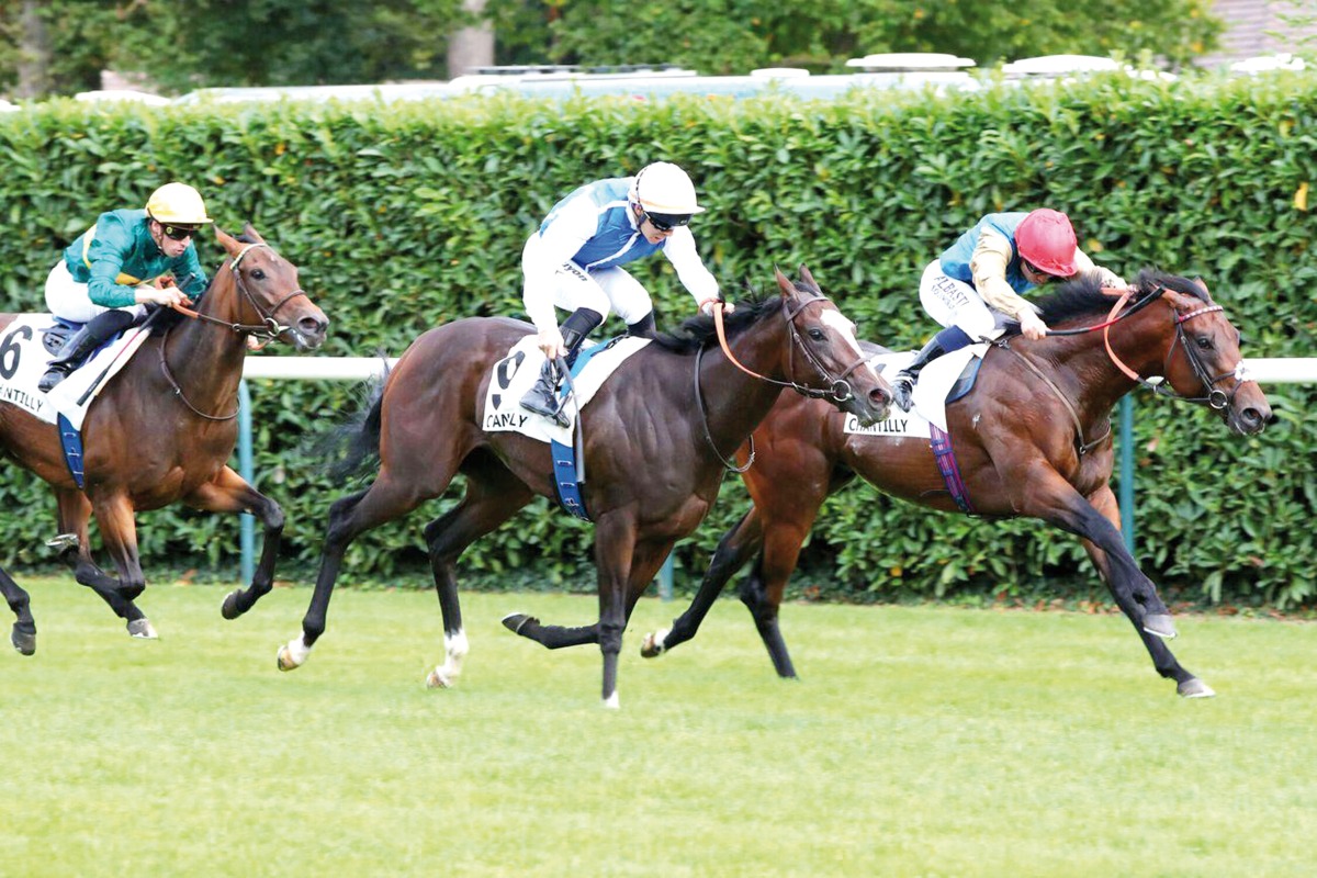 Electrolyte claimed his first Group victory at Chantilly.