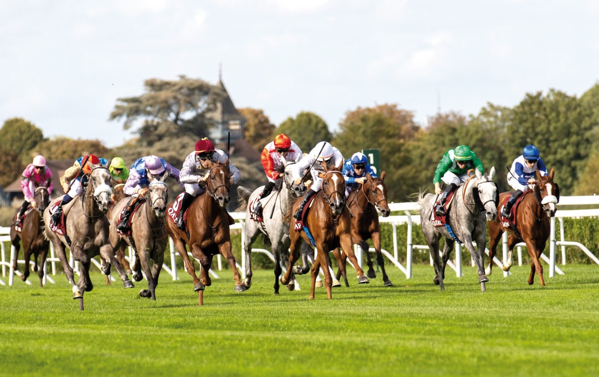 All eyes will be on ParisLongchamp for the top-class contests on Saturday and Sunday, especially the Gr1 PA Qatar Arabian World Cup and the Gr1 Qatar Prix de l’Arc de Triomphe.