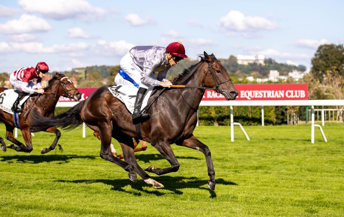 File photo used for representational purposes. 