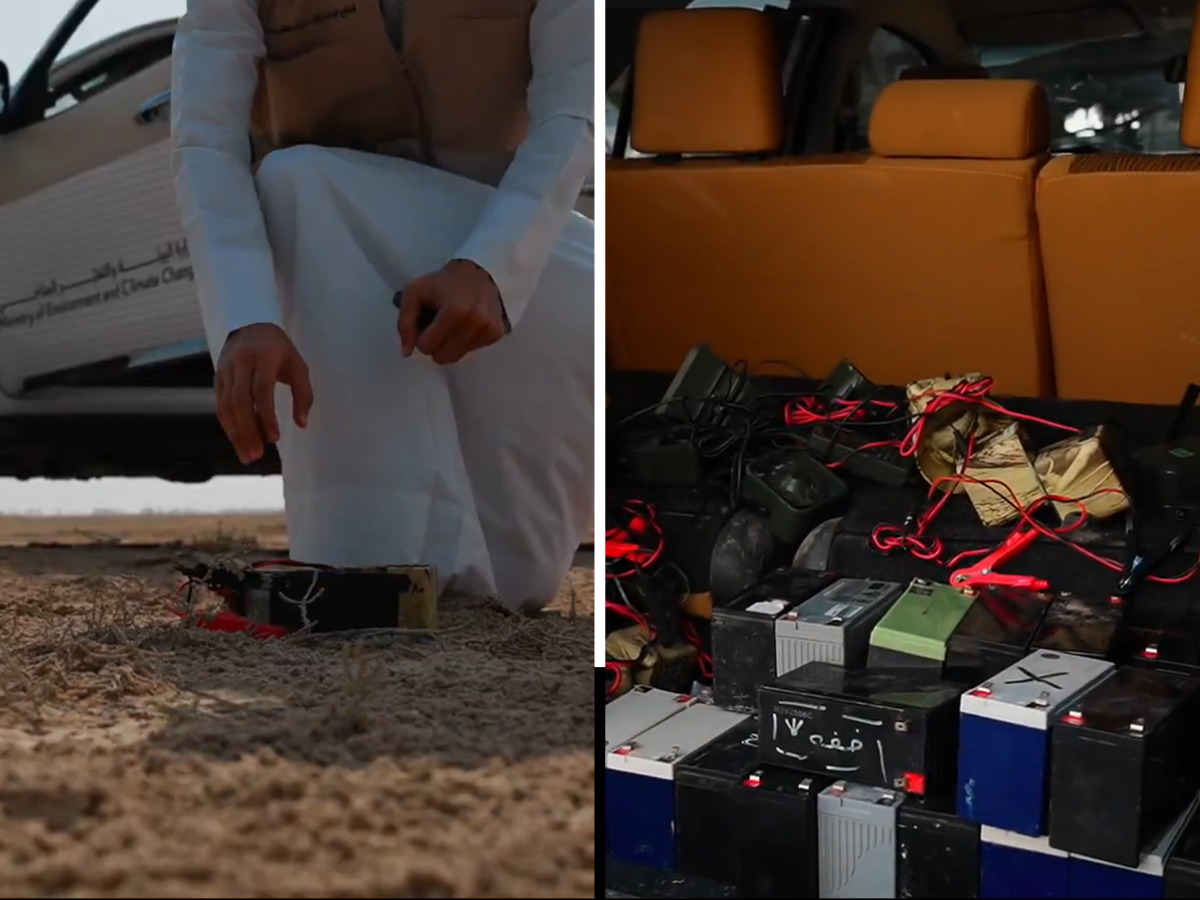 Screen grab of a video shared by MOECC