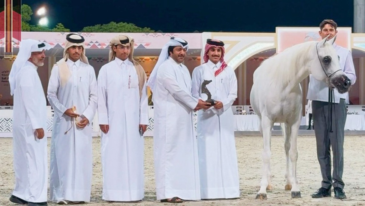 Nabeel Al Rayyan of Al Marroona Stud won gold in the Stallions 11+ Years Old championship class on the third and final day of Qatar Racing & Equestrian Club’s 1st Al Rayyan National Peninsula Arabian Horse Show at QEF’s outdoor arena yesterday. PIC: Juhaim/QREC