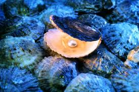 Still from The Pearl by Noor Al-Nasr