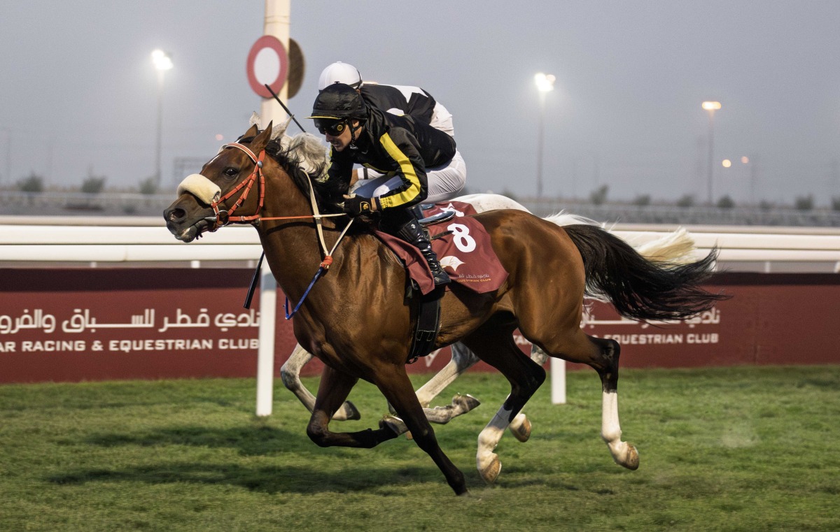 Jefferson Smith guides Alshanfara to Purebred Arabian Graduation Plate win at Al Uqda Racecourse. Pic: Juhaim/QREC