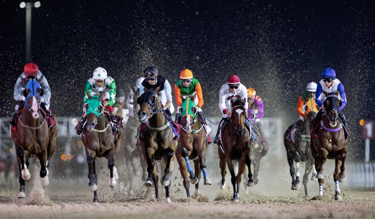 Action during the 42nd Al Rayyan Race Meeting yesterday. Pictures: Juhaim/QREC