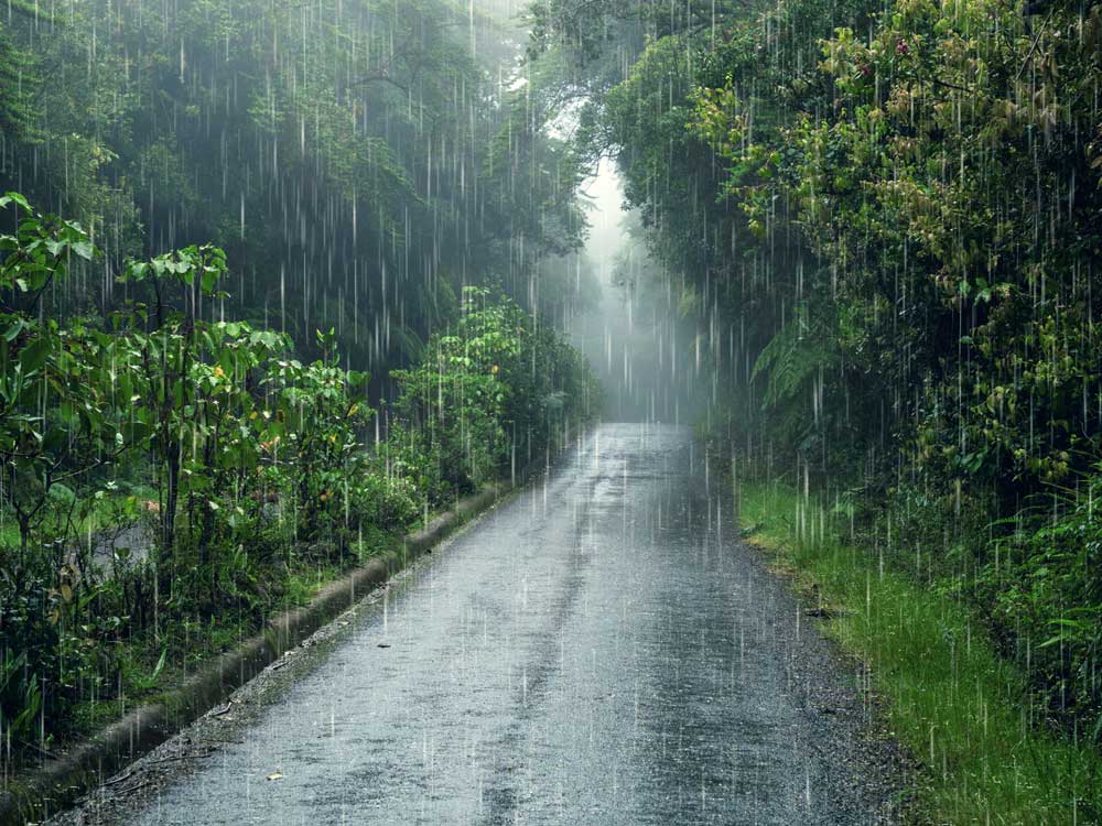 Representational photo. Freepik.