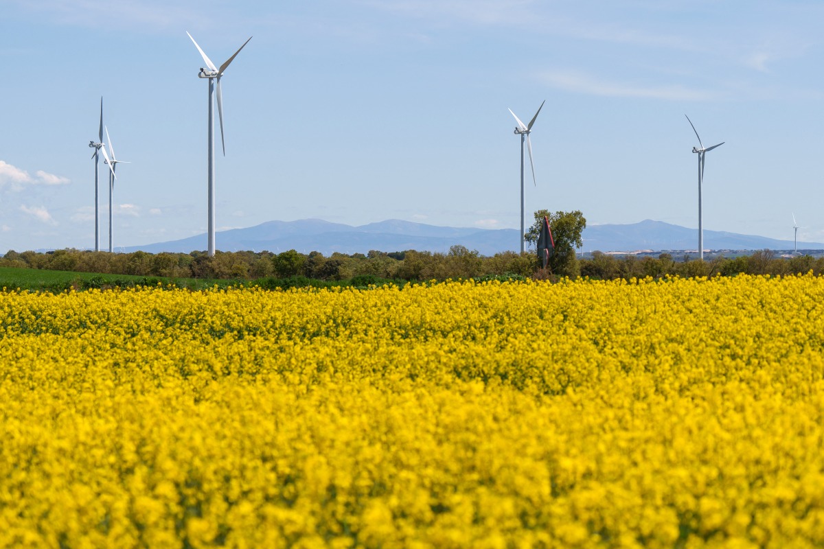 Wind turbines used to generate electricity are seen in Burgos, northern Spain, on April 29, 2025, the day after a massive power cut affecting the entire Iberian peninsula and the south of France. Photo by CESAR MANSO / AFP
