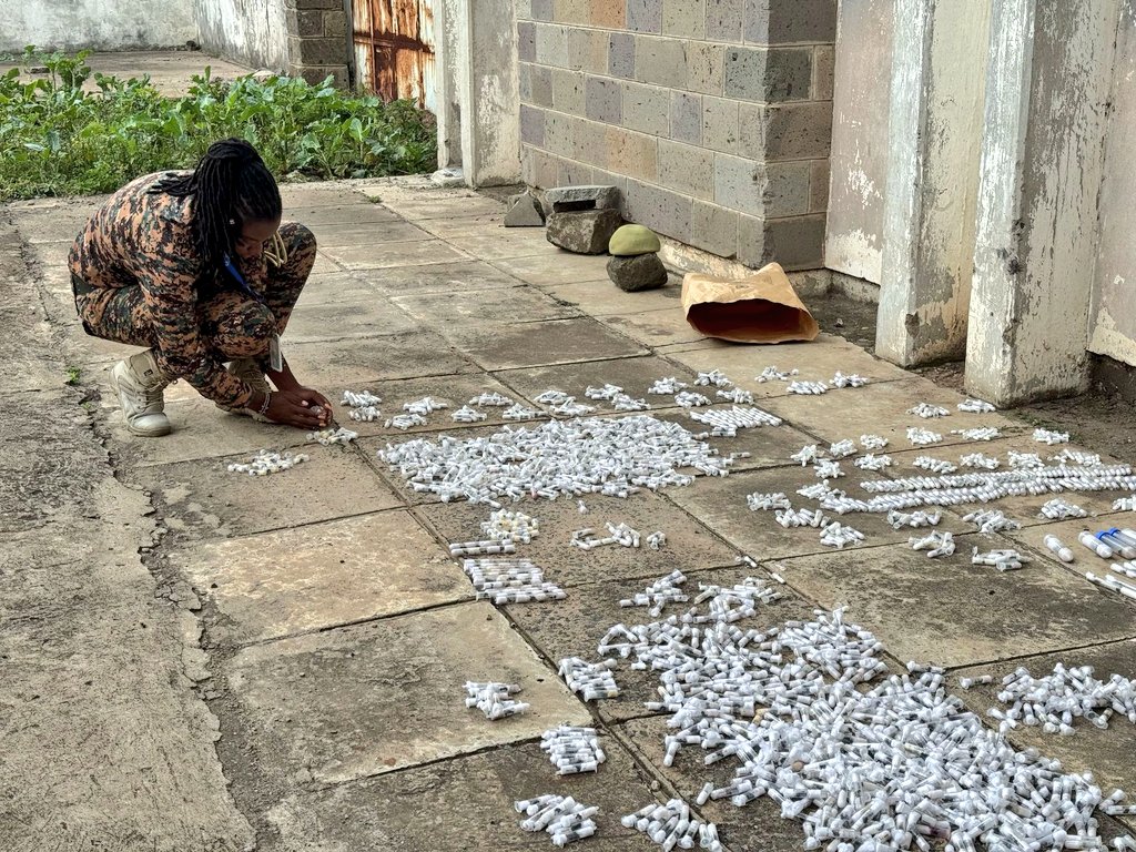 Photos by Kenya Wildlife Service.