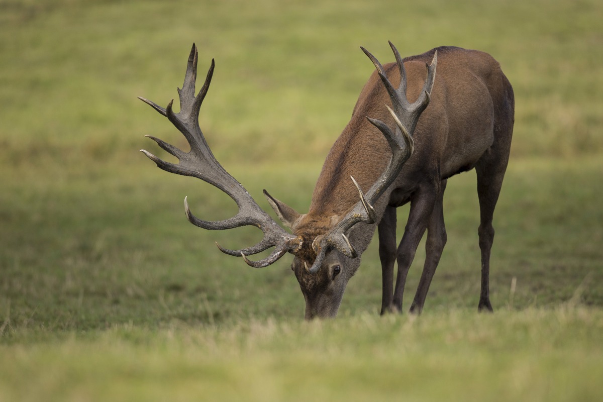 Image used for representation only.