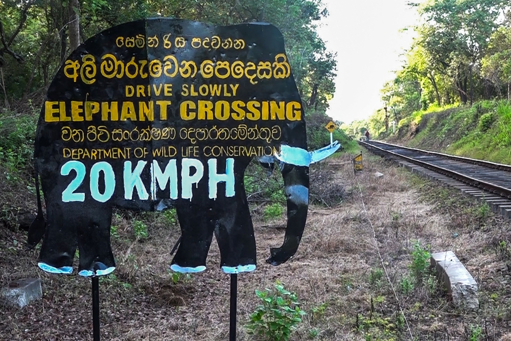 A signboard alerting elephant crossing is pictured near the site of a train accident in Habarana, on May 20, 2025. (Photo by AFP)
