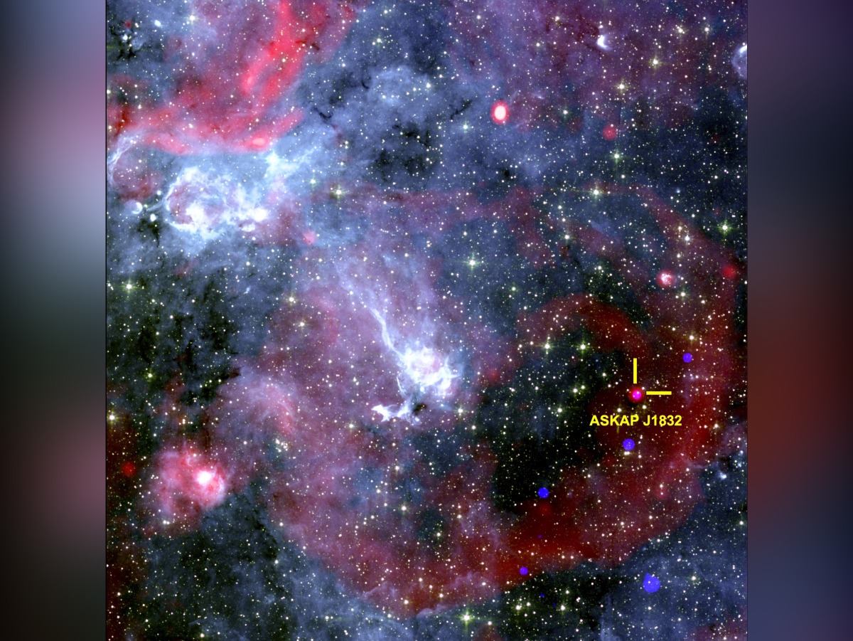 Ziteng (Andy) Wang, ICRAR