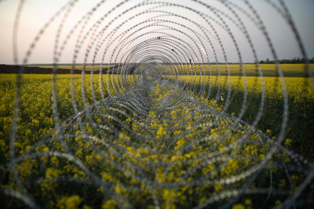 This photograph shows a barbed wire defence line running across a rapeseed field at an undisclosed location in eastern Ukraine on June 6, 2025. (Photo by Florent VERGNES / AFP)
