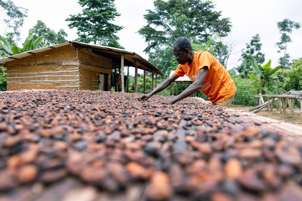 Ghana is the world’s second-biggest cocoa supplier. (Photo by Paul Ninson / Bloomberg)